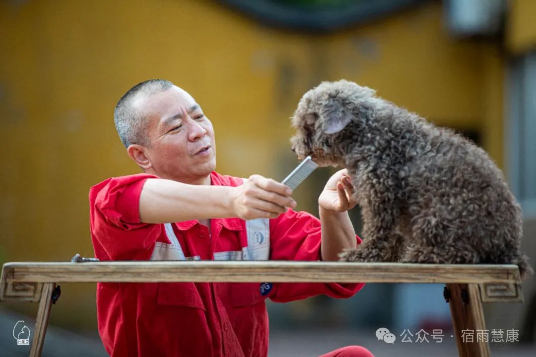 项目图片